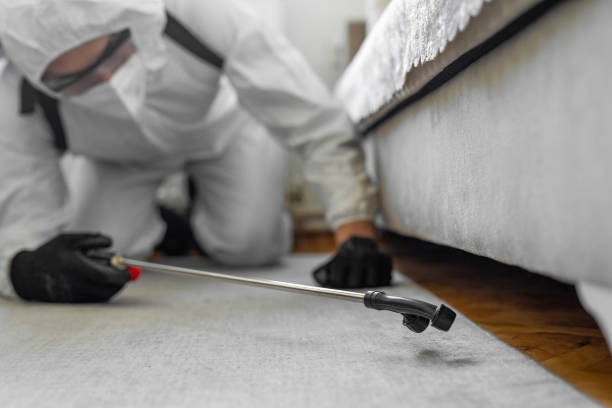 Professional Cockroach Control technician working in Shullsburg, WI